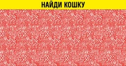 Тест, Черный — фото 1